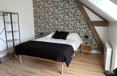 Gîte les 2 cygnes à Briare dans le Loiret - Photo 8