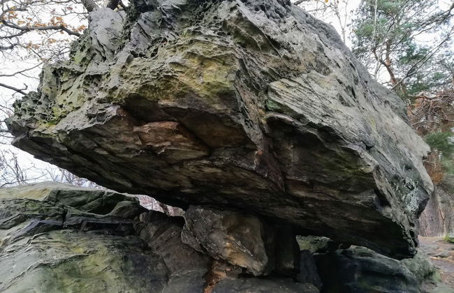 Spacious Apartment in Blankenburg Harz near Ski Area - Foto 20