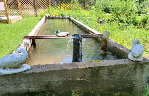 Nantahala Spiritual Retreat - Remote and Peaceful! - Foto 58