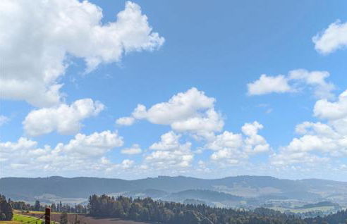 Wildkraeuterweg 14 - Foto 8