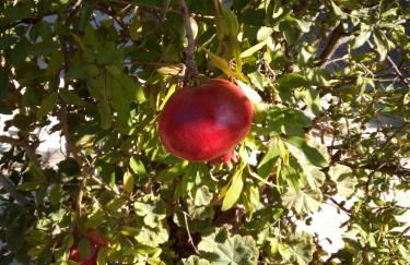 Family and friendly home. - Foto 5