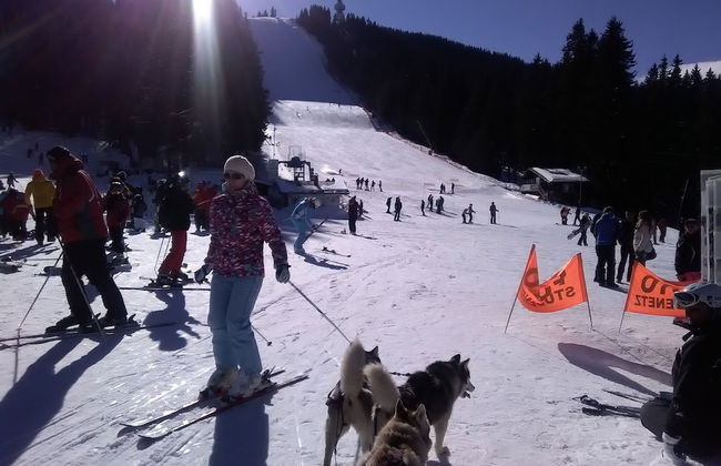 2 Bedroom, 2 Showeroom Villa Suitable for a Family Skication and Remote Working - Foto 34