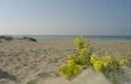 Sea beach relax - Foto 43