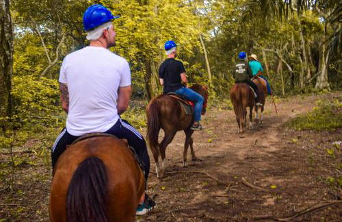 Pousada São João - Estrada Parque Pantanal - Photo 24