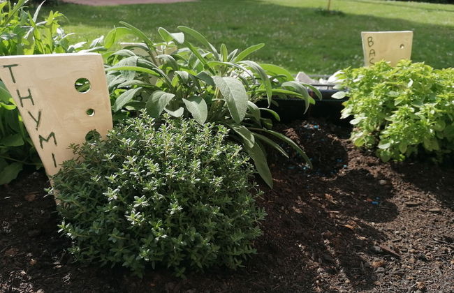 Albizia-Apartments - Foto 64