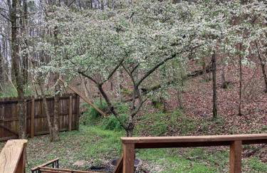 Woodhaven, darling romantic cabin, ATV trails, Mena, AR - Foto 23