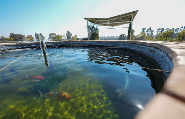 The Anchorage - Foto 79