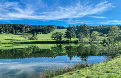 Ferienwohnung im Schwarzwald mit Garten - Foto 78