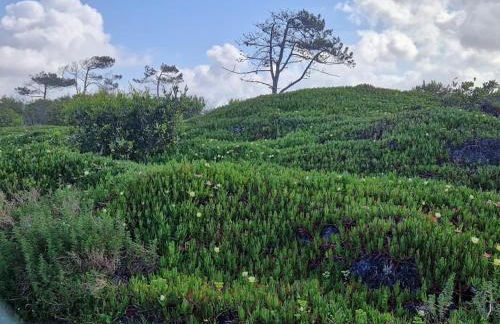 Casa das Camarinhas - Foto 29