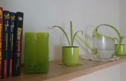 Crosta Brava - Foto 27