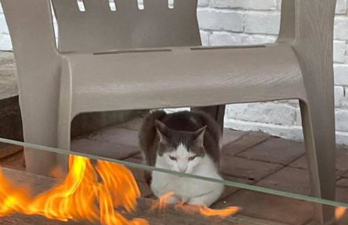 The Pearl-Lovely Victorian Home with Bed and Breakfast Energy - Foto 36