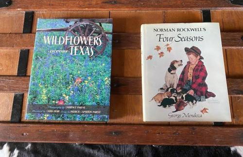 Nueces River Cabins-Pecan Cabin - Foto 26