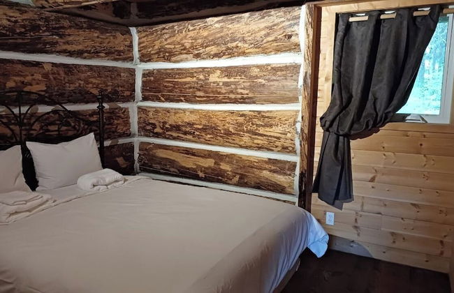 Rustic Beaverfoot Lodge Dream Cabin - Photo 5