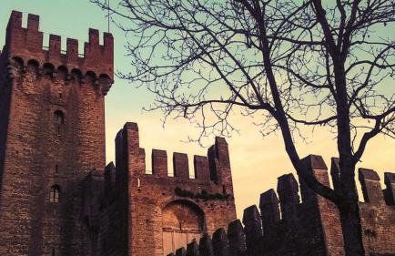 The History Apartment - Photo 15