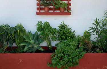 ATICO LA ILUSION CON PARkING - Foto 43