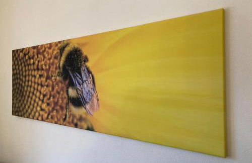 Murmelschlupf & Hummelschlupf Oberstaufen/Steibis - Foto 21