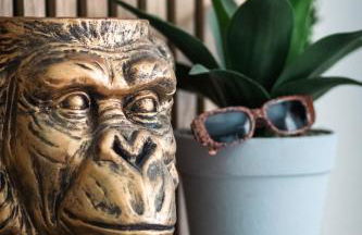 Appartement Suite Eden Jungle-nuit insolite pour couple ou solo - Foto 7