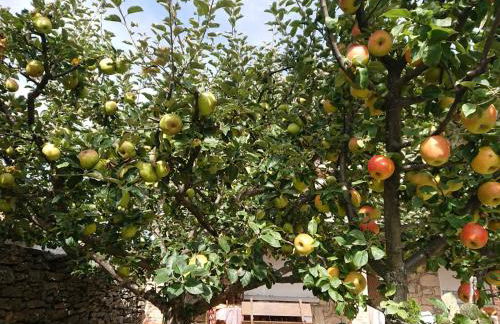 Ermita de Gredos - Foto 57
