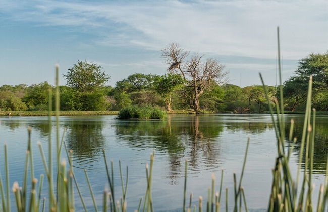 The Dreamcatcher Lodge - Photo 30