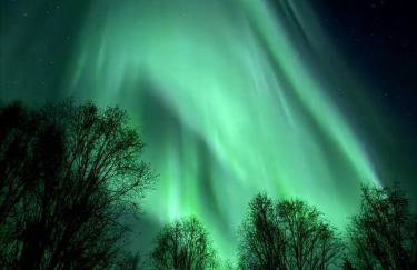 Northern Lights Log House w/ Sauna - Foto 79