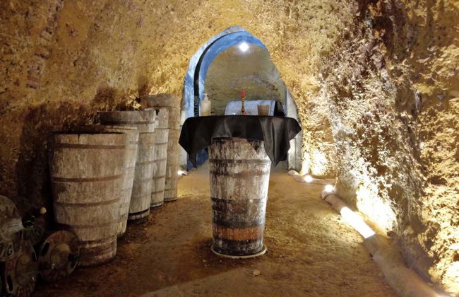 Visite des caves à vin Dorretxe + Dégustation d'huile d'olive - Photo 1