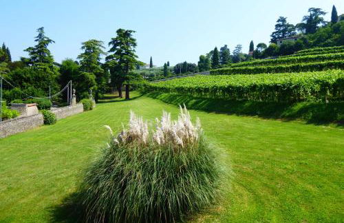 Calicantus, Verona, Pool, Wifi - Photo 16