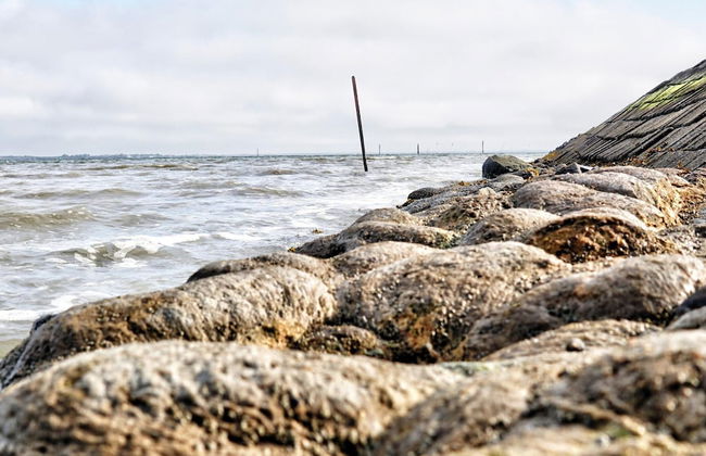 Ferienwohnung Tiefblick, Dornumersiel - Foto 24