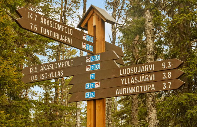 Kevätpiippo b - Foto 19