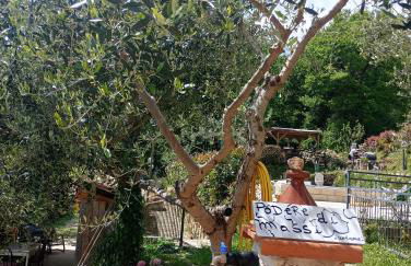 Casetta nel Podere di Massi - Foto 56