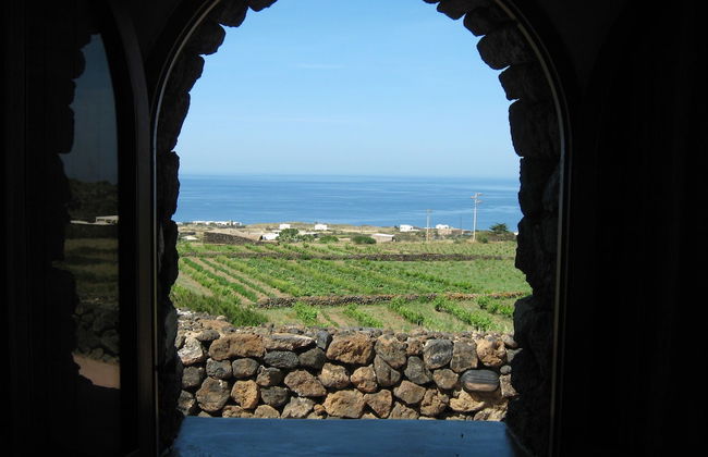 Agriturismo Zibibbodoro - Foto 67