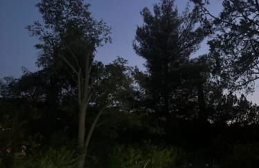 Dreamy relaxing secluded Villa Aurora - Foto 68