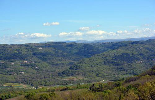 Art House Vižinada - Foto 23