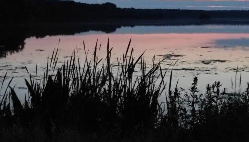 De hümmelske Bur - Foto 5