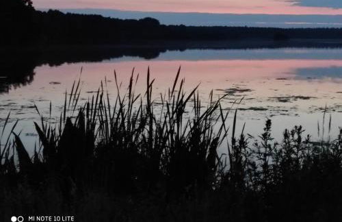 De hümmelske Bur - Foto 5