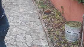 Casa Esmeralda - Foto 2