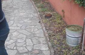 Casa Esmeralda - Foto 2