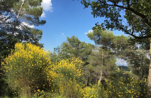 Villa de Carbonelle - Foto 38