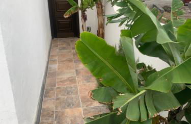 Casa Nehuna - Foto 42