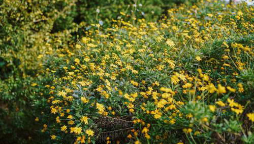 Casa Rural Oliveira do Bairro - Foto 4