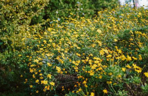 Casa Rural Oliveira do Bairro - Foto 4