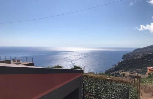 Palheirinho da Achada - Foto 6