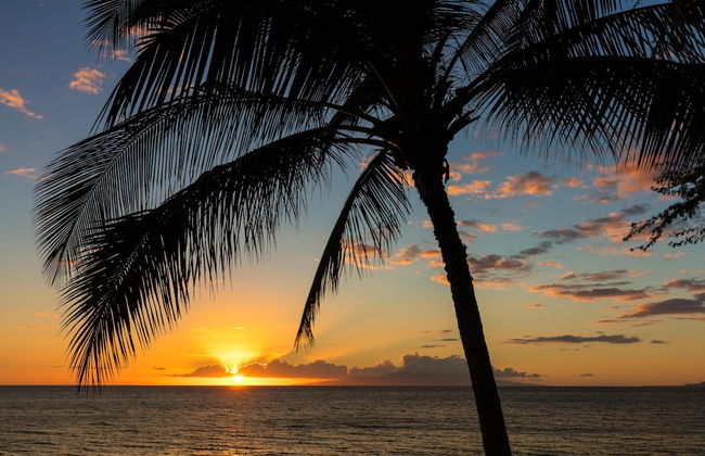 Milowai 302 - Foto 29