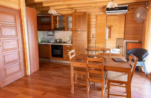 Zeus-Village οικισμός φινλανδικών chalet με πισίνες & γυμναστήριο - Foto 75