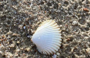 Bruns Wiek Haus JO einfach MEER - Photo 18