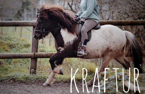 Ferienhaus Sommerweide 160qm bis 10P - Foto 12