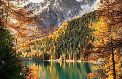 Hellweger Apartments - Foto 50