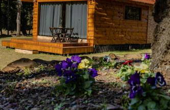 Cabana Pequeno Bosque som dás Águas - Foto 2