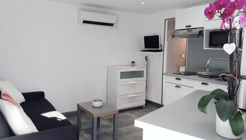 Studio rénové avec terrasse ST RAPHAEL - Foto 2