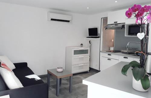 Studio rénové avec terrasse ST RAPHAEL - Foto 2