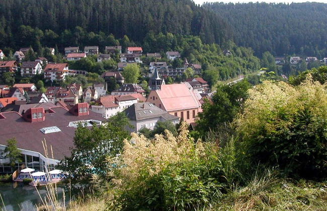 Ferienwohnung im Haus Schiefertal, Wieda - Foto 21